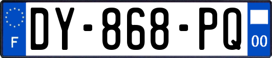 DY-868-PQ