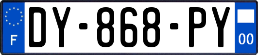 DY-868-PY