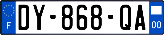 DY-868-QA