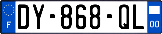 DY-868-QL