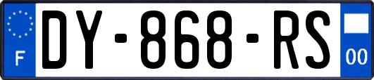 DY-868-RS