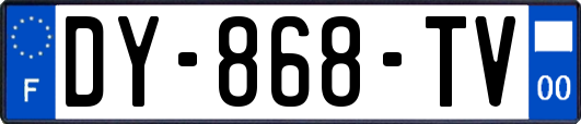 DY-868-TV