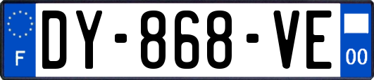 DY-868-VE