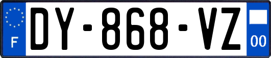 DY-868-VZ