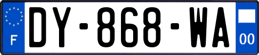 DY-868-WA