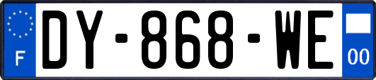 DY-868-WE