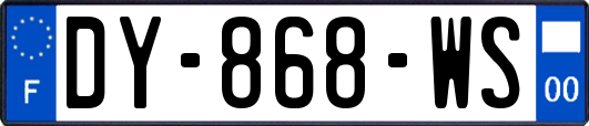 DY-868-WS