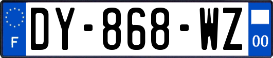 DY-868-WZ