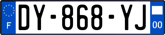 DY-868-YJ