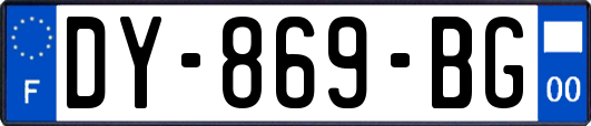 DY-869-BG