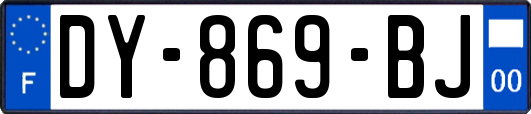 DY-869-BJ
