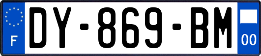 DY-869-BM