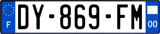 DY-869-FM