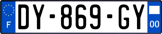 DY-869-GY