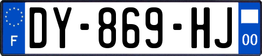 DY-869-HJ