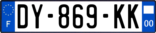 DY-869-KK