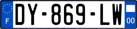 DY-869-LW