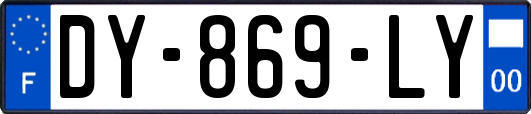 DY-869-LY