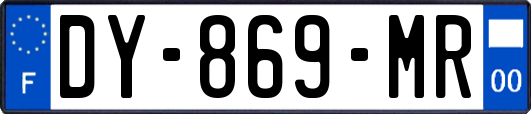 DY-869-MR