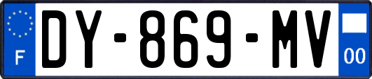 DY-869-MV