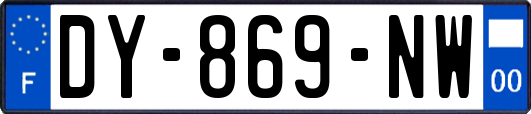 DY-869-NW