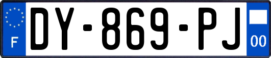 DY-869-PJ