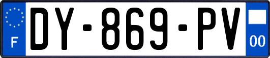 DY-869-PV