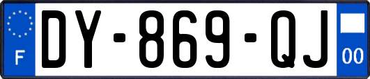 DY-869-QJ