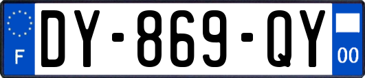 DY-869-QY