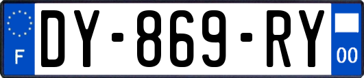DY-869-RY