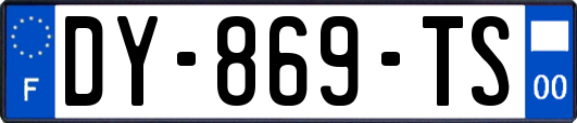 DY-869-TS