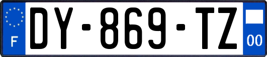 DY-869-TZ