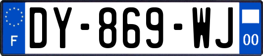 DY-869-WJ