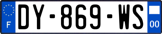 DY-869-WS