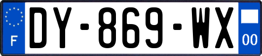 DY-869-WX