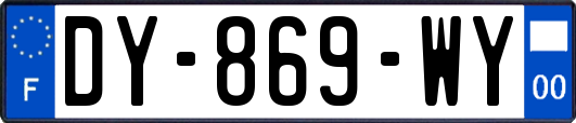 DY-869-WY