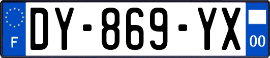 DY-869-YX