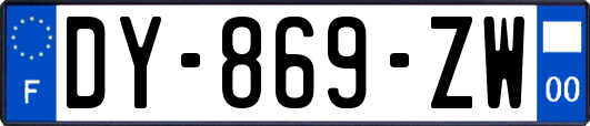 DY-869-ZW