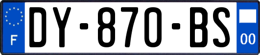 DY-870-BS