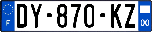 DY-870-KZ