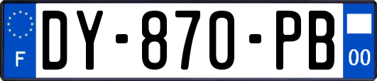 DY-870-PB