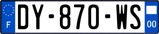 DY-870-WS