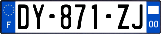 DY-871-ZJ