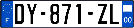DY-871-ZL