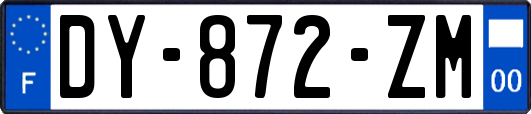 DY-872-ZM