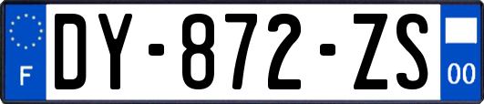 DY-872-ZS