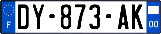 DY-873-AK