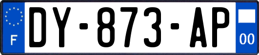 DY-873-AP