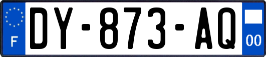 DY-873-AQ