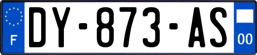 DY-873-AS